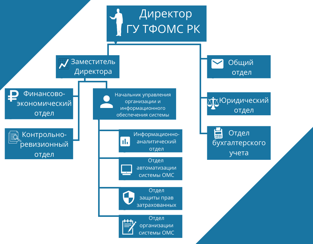 Сайт фонда омс. Структура ТФОМС. Структура фонда ОМС. Структура организационной структуры ТФОМС. Организационная структура фонда ОМС.